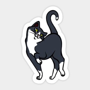 Begging for pettings--Tuxedo Cat Style Sticker